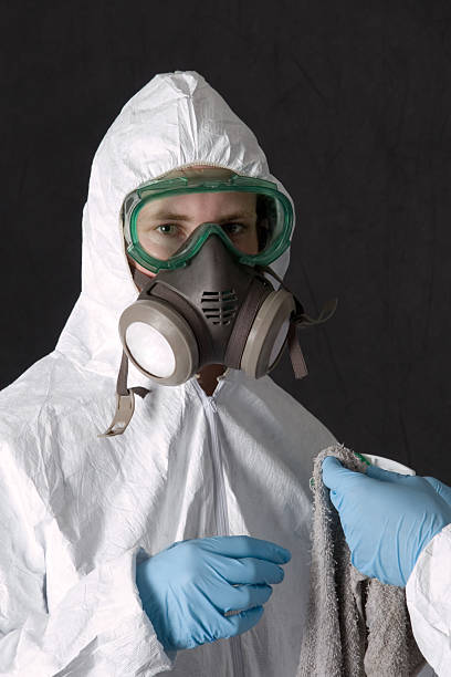 Best Mold-Related Health Consultation  in Palmhurst, TX